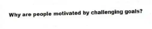 Why are people motivated by challenging goals?