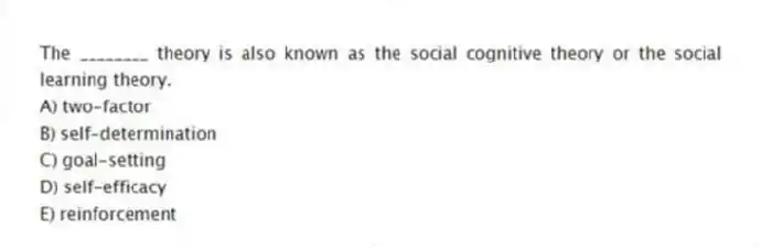 The ________ theory is also known as the social cognitive theory or the social learning theory.
A) two-factor
B) self-determination
C) goal-setting
D) self-efficacy
E) reinforcement