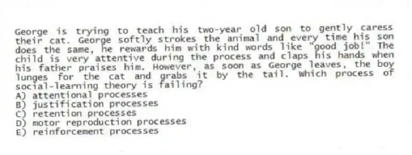 George is trying to teach his two-year old son to gently caress their cat. George softly strokes the animal and every time his son does the same, he rewards him with kind words like "good job!" The child is very attentive during the process and claps his hands when his father praises him. However, as soon as George leaves, the boy lunges for the cat and grabs it by the tail. Which process of social-learning theory is failing?
A) attentional processes
B) justification processes
C) retention processes
D) motor reproduction processes
E) reinforcement processes