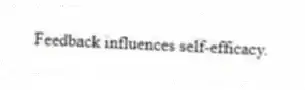 Feedback influences self-efficacy.