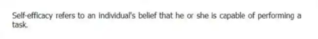 Self-efficacy refers to an individual's belief that he or she is capable of performing a task.
