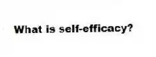 What is self-efficacy?