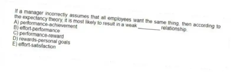 If a manager incorrectly assumes that all employees want the same thing, then according to the expectancy theory, it is most likely to result in a weak ________ relationship.
A) performance-achievement
B) effort-performance
C) performance-reward
D) rewards-personal goals
E) effort-satisfaction