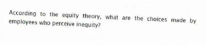According to the equity theory, what are the choices made by employees who perceive inequity?