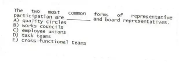 The two most common forms of representative participation are ________ and board representatives.
A) quality circles
B) works councils
C) employee unions
D) task teams
E) cross-functional teams