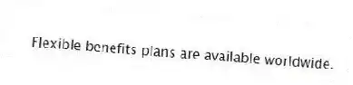 Flexible benefits plans are available worldwide.