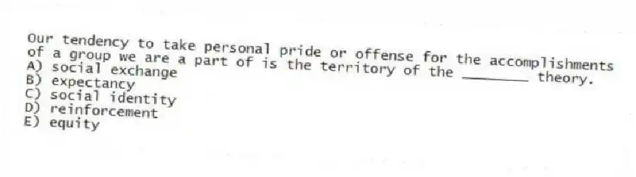 Our tendency to take personal pride or offense for the accomplishments of a group we are a part of is the territory of the ________ theory.
A) social exchange
B) expectancy
C) social identity
D) reinforcement
E) equity