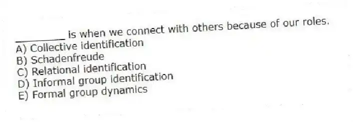 ________ is when we connect with others because of our roles.
A) Collective identification
B) Schadenfreude
C) Relational identification
D) Informal group identification
E) Formal group dynamics