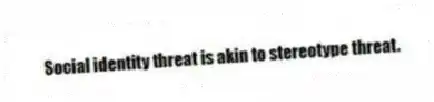 Social identity threat is akin to stereotype threat.