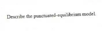 Describe the punctuated-equilibrium model.