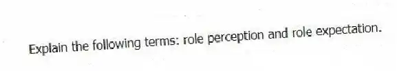 Explain the following terms: role perception and role expectation.