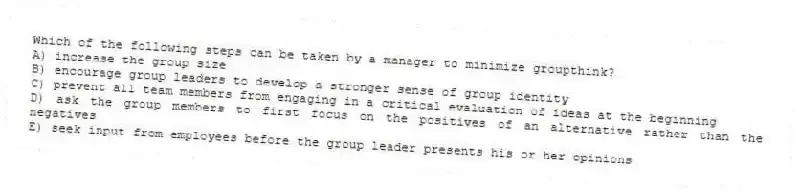 Which of the following steps can be taken by a manager to minimize groupthink?
A) increase the group size
B) encourage group leaders to develop a stronger sense of group identity
C) prevent all team members from engaging in a critical evaluation of ideas at the beginning
D) ask the group members to first focus on the positives of an alternative rather than the negatives
E) seek input from employees before the group leader presents his or her opinions
