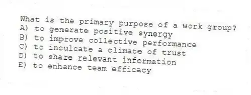What is the primary purpose of a work group?
A) to generate positive synergy
B) to improve collective performance
C) to inculcate a climate of trust
D) to share relevant information
E) to enhance team efficacy