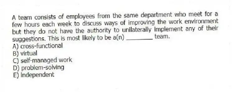 A team consists of employees from the same department who meet for a few hours each week to discuss ways of improving the work environment but they do not have the authority to unilaterally implement any of their suggestions. This is most likely to be a(n) ________ team.
A) cross-functional
B) virtual
C) self-managed work
D) problem-solving
E) independent