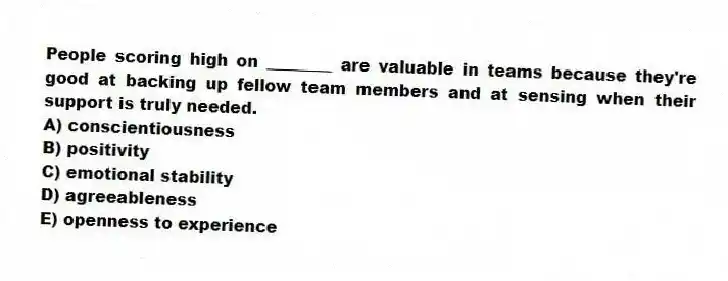 People scoring high on ________ are valuable in teams because they're good at backing up fellow team members and at sensing when their support is truly needed.
A) conscientiousness
B) positivity
C) emotional stability
D) agreeableness
E) openness to experience