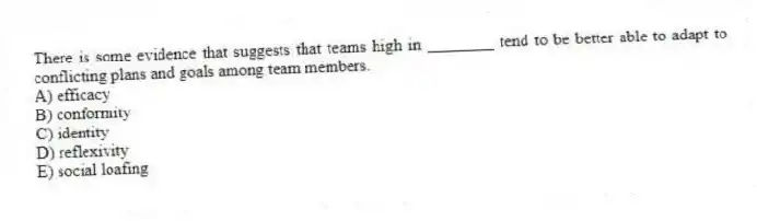 There is some evidence that suggests that teams high in ________ tend to be better able to adapt to conflicting plans and goals among team members.
A) efficacy
B) conformity
C) identity
D) reflexivity
E) social loafing