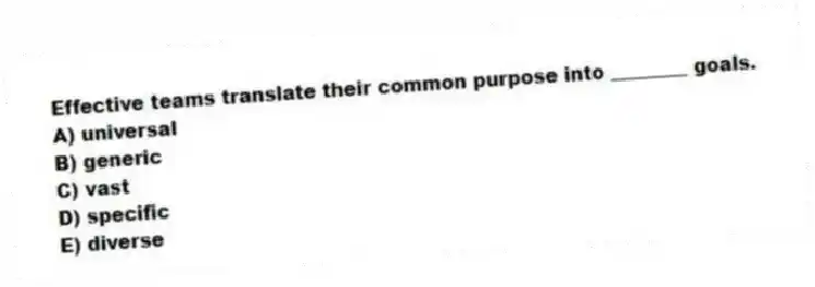 Effective teams translate their common purpose into ________ goals.
A) universal
B) generic
C) vast
D) specific
E) diverse