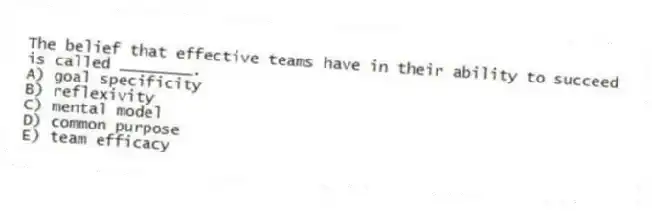 The belief that effective teams have in their ability to succeed is called ________.
A) goal specificity
B) reflexivity
C) mental model
D) common purpose
E) team efficacy