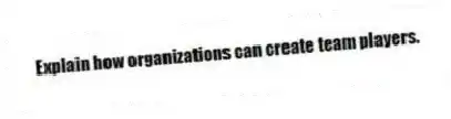 Explain how organizations can create team players.