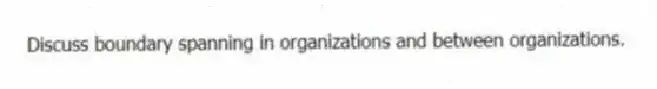 Discuss boundary spanning in organizations and between organizations.