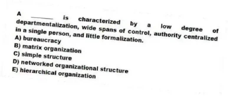 A ________ is characterized by a low degree of departmentalization, wide spans of control, authority centralized in a single person, and little formalization.
A) bureaucracy
B) matrix organization
C) simple structure
D) networked organizational structure
E) hierarchical organization