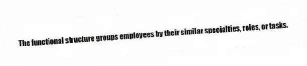 The functional structure groups employees by their similar specialties, roles, or tasks.