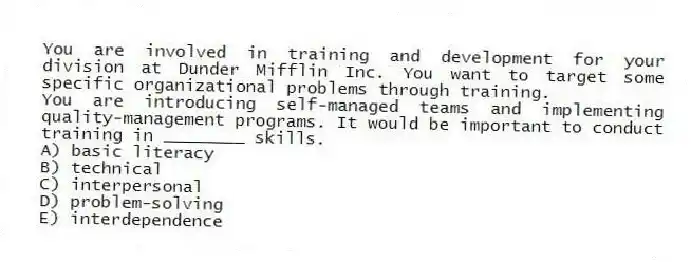You are involved in training and development for your division at Dunder Mifflin Inc. You want to target some specific organizational problems through training.
-You are introducing self-managed teams and implementing quality-management programs. It would be important to conduct training in ________ skills.
A) basic literacy
B) technical
C) interpersonal
D) problem-solving
E) interdependence