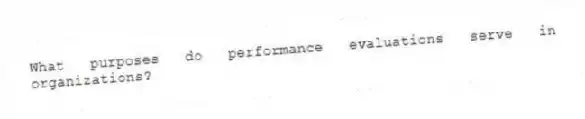 What purposes do performance evaluations serve in organizations?