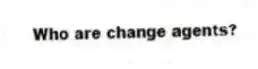 Who are change agents?