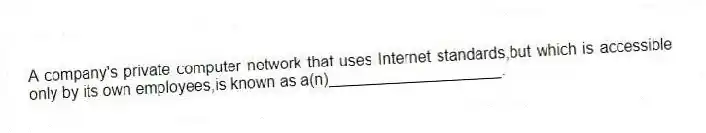 A company's private computer network that uses Internet standards,but which is accessible only by its own employees,is known as a(n)____________________.