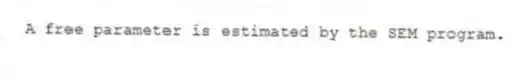 A free parameter is estimated by the SEM program.