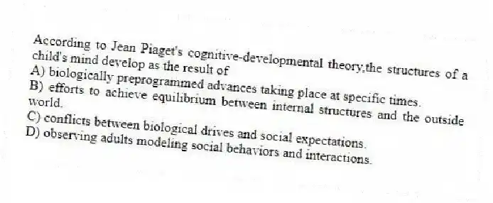 According to Jean Piaget's cognitive-developmental theory,the structures of a child's mind develop as the result of
A) biologically preprogrammed advances taking place at specific times.
B) efforts to achieve equilibrium between internal structures and the outside world.
C) conflicts between biological drives and social expectations.
D) observing adults modeling social behaviors and interactions.