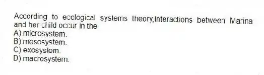 According to ecological systems theory,interactions between Marina and her child occur in the
A) microsystem.
B) mesosystem.
C) exosystem.
D) macrosystem.