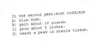In the second year,most toddlers
A) slim down.
B) gain about 15 pounds.
C) grow about 8 inches.
D) reach a peak in muscle tissue.