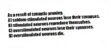 As a result of synaptic pruning,
A) seldom-stimulated neurons lose their synapses.
B) stimulated neurons reproduce themselves.
C) overstimulated neurons lose their synapses.
D) overstimulated neurons die.