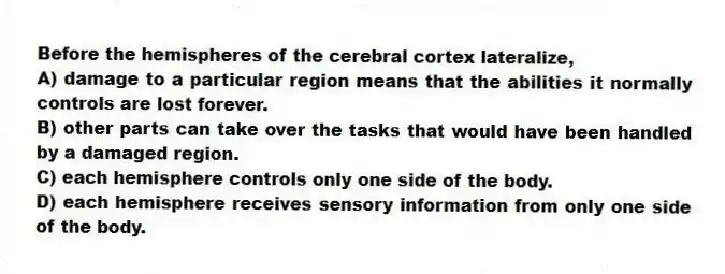 Before the hemispheres of the cerebral cortex lateralize,
A) damage to a particular region means that the abilities it normally controls are lost forever.
B) other parts can take over the tasks that would have been handled by a damaged region.
C) each hemisphere controls only one side of the body.
D) each hemisphere receives sensory information from only one side of the body.