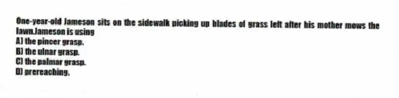 One-year-old Jameson sits on the sidewalk picking up blades of grass left after his mother mows the lawn.Jameson is using
A) the pincer grasp.
B) the ulnar grasp.
C) the palmar grasp.
D) prereaching.