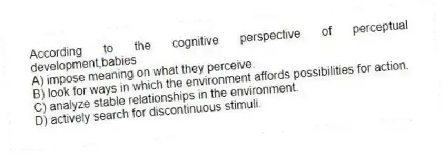 According to the cognitive perspective of perceptual development,babies
A) impose meaning on what they perceive.
B) look for ways in which the environment affords possibilities for action.
C) analyze stable relationships in the environment.
D) actively search for discontinuous stimuli.