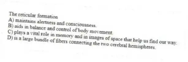 The reticular formation
A) maintains alertness and consciousness.
B) aids in balance and control of body movement.
C) plays a vital role in memory and in images of space that help us find our way.
D) is a large bundle of fibers connecting the two cerebral hemispheres.