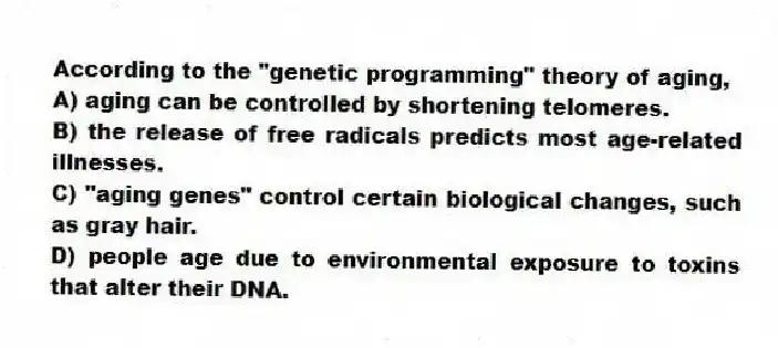 According to the "genetic programming" theory of aging,
A) aging can be controlled by shortening telomeres.
B) the release of free radicals predicts most age-related illnesses.
C) "aging genes" control certain biological changes, such as gray hair.
D) people age due to environmental exposure to toxins that alter their DNA.