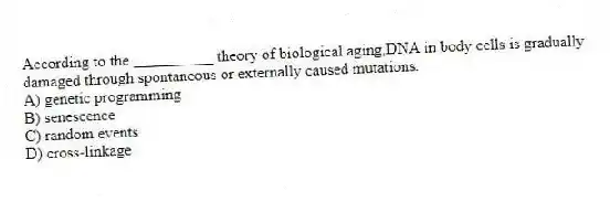 According to the __________ theory of biological aging,DNA in body cells is gradually damaged through spontaneous or externally caused mutations.
A) genetic programming
B) senescence
C) random events
D) cross-linkage