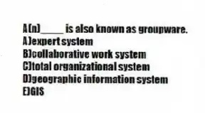 A(n)____ is also known as groupware.
A)expert system
B)collaborative work system
C)total organizational system
D)geographic information system
E)GIS