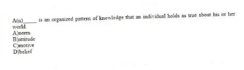 A(n)_____ is an organized pattern of knowledge that an individual holds as true about his or her world.
A)norm
B)attitude
C)motive
D)belief