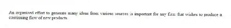 An organized effort to generate many ideas from various sources is important for any firm that wishes to produce a continuing flow of new products.