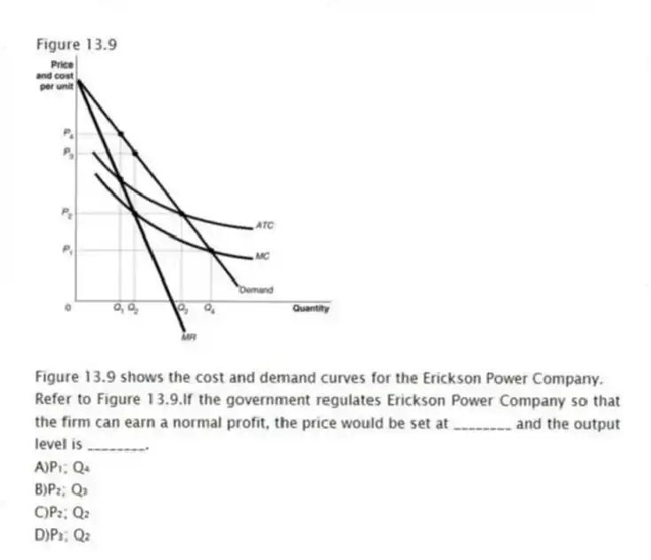 Figure 13.9
Figure 13.9 shows the cost and demand curves for the Erickson Power Company.
-Refer to Figure 13.9.If the government regulates Erickson Power Company so that the firm can earn a normal profit, the price would be set at ________ and the output level is ________.
A)P₁; Q₄
B)P₂; Q₃
C)P₂; Q₂
D)P₃; Q₂