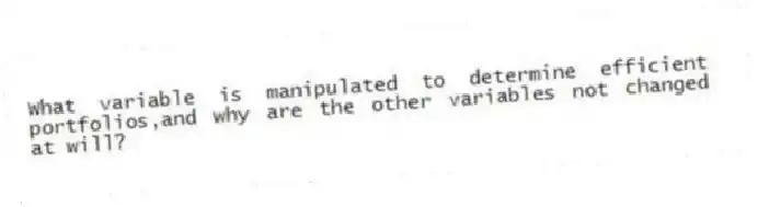 What variable is manipulated to determine efficient portfolios,and why are the other variables not changed at will?