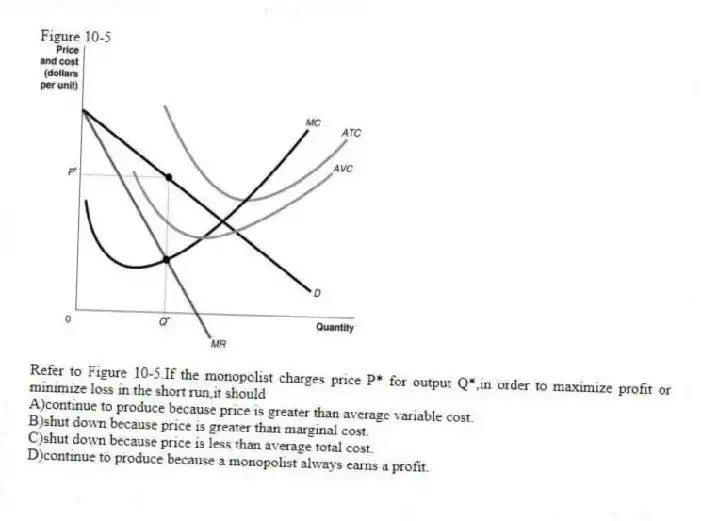 Figure 10-5
-Refer to Figure 10-5.If the monopolist charges price P* for output Q*,in order to maximize profit or minimize loss in the short run,it should
A)continue to produce because price is greater than average variable cost.
B)shut down because price is greater than marginal cost.
C)shut down because price is less than average total cost.
D)continue to produce because a monopolist always earns a profit.