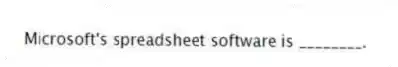 Microsoft's spreadsheet software is ________.