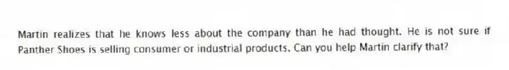 Martin realizes that he knows less about the company than he had thought. He is not sure if Panther Shoes is selling consumer or industrial products. Can you help Martin clarify that?