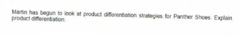 Martin has begun to look at product differentiation strategies for Panther Shoes. Explain product differentiation.